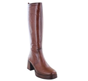 Bottes femme Dorking - DATE D9339 Noir 